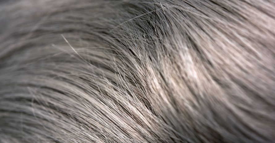 gray shiny hair