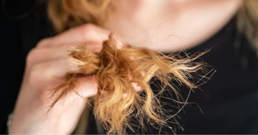 Close up of curly long hair with split ends